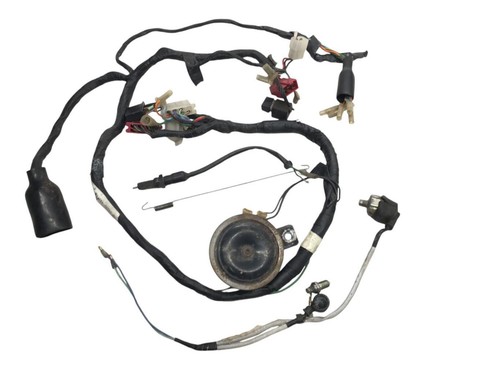 Electric harness honda - harness, cm