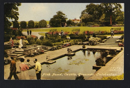 Old postcard fish - postcard:, in
