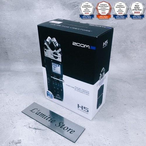 Zoom track portable - h5, 4-track