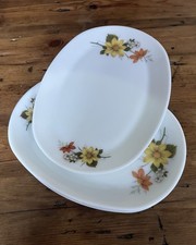 JAJ Pyrex Autumn Glory Vintage Steak Plate. Up to 4 Available.   Excellent Cond