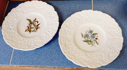 Royal cauldon bristol - royal,