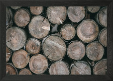 Wooden cut tree trunk Framed