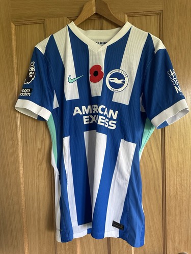 Brighton hove albion fc - hove,