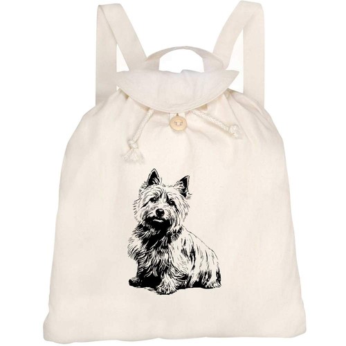 Norwich terrier portrait - 'norwich,