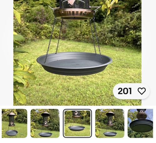 Large hanging wild bird - hanging,