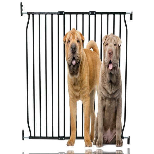 Bettacare extra tall dog - dog, stair
