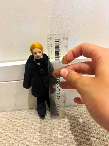 Male adult dolls - dolls, house