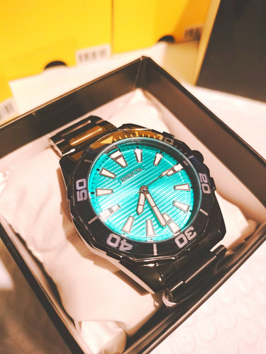 Invicta diver meridian - diver,