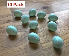 PLASTIC CANARY DUMMY EGGS X 10