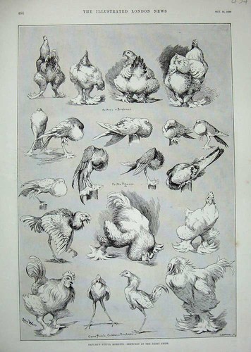 Old antique print louis - antique, wain