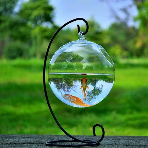 Home decoration fish - decoration, vase