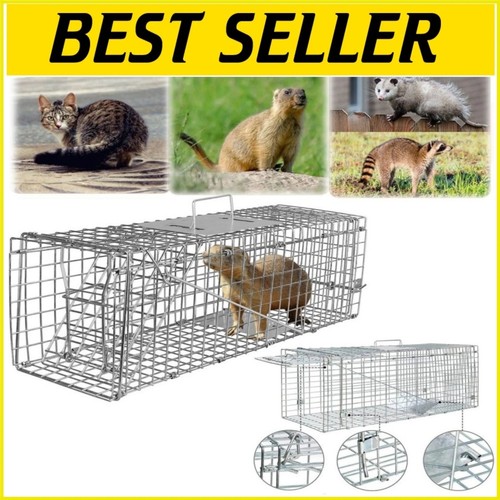 Live animal cage - animal,