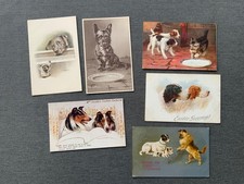 ARTIST DRAWN / SIGNED  DOGS -