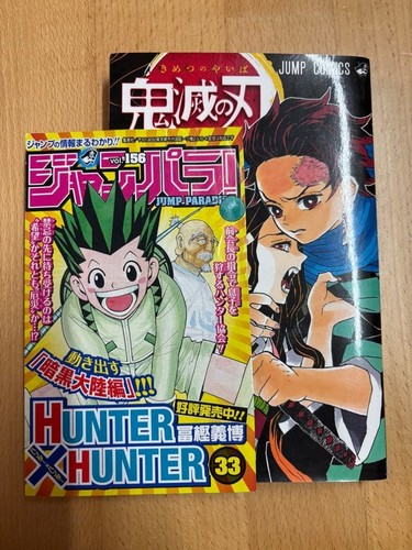 Demon slayer kimetsu yaiba - demon, no