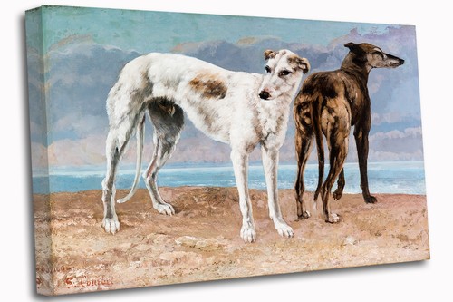 Greyhound dogs classic - dogs,