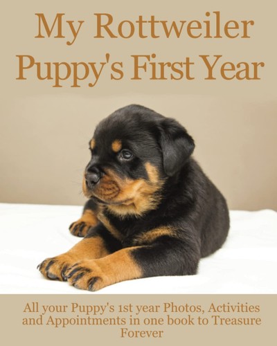 Rottweiler puppy first - my, puppy's