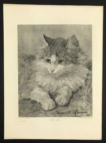 Cat sir john pose - cat, an