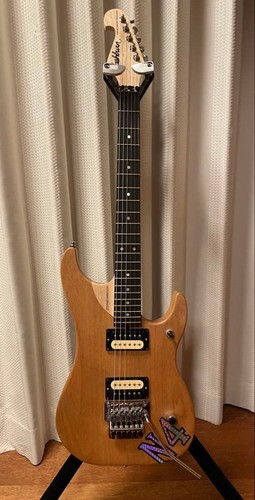 Washburn vintage nuno - washburn,