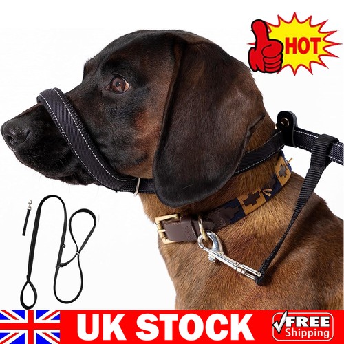 Slip lead for - slip,
