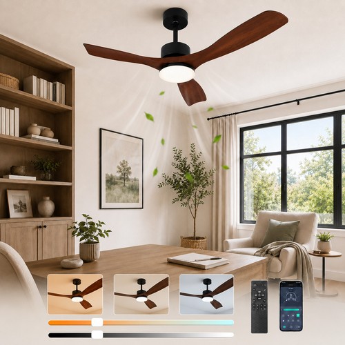Smart ceiling fan with - 52",
