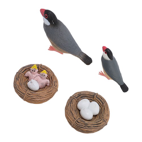 Bird model toy - bird,