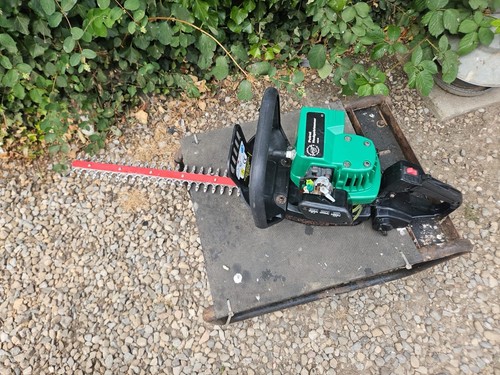 Performance power petrol hedge - power,
