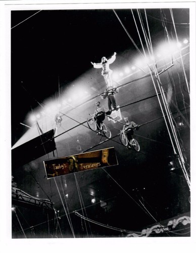 Vintage circus photo flying - vintage,