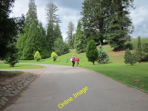 Photo 12x8 the pinetum - the, at