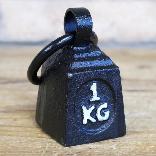 Cast iron paperweight - iron,