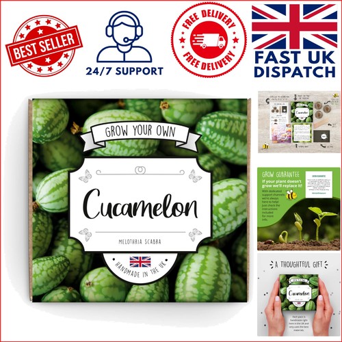 Cucamelon starter kit - starter,