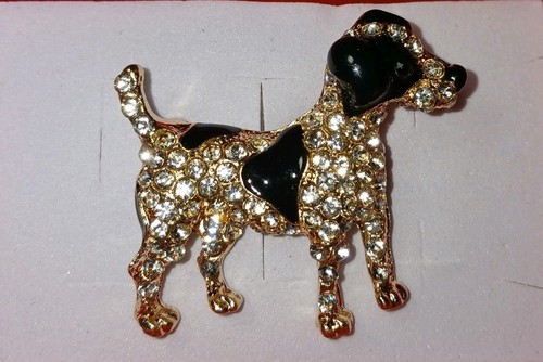 Beautiful diamante terrier dog - terrier,