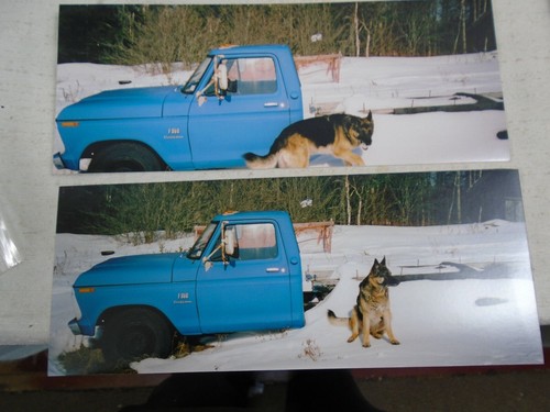Photo 4x10 1970 - 's, ford