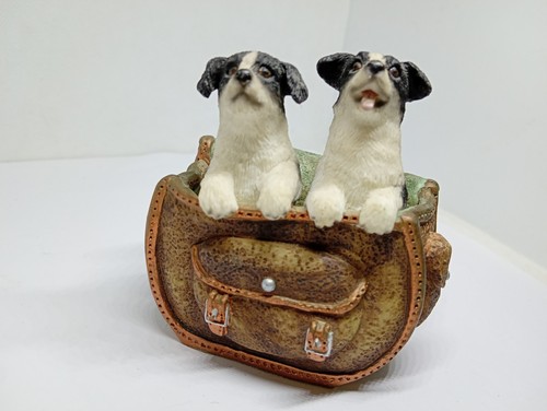 Leonardo two border - , collie
