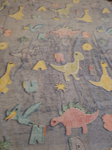 Dinosaur throw blanket x - throw, 4