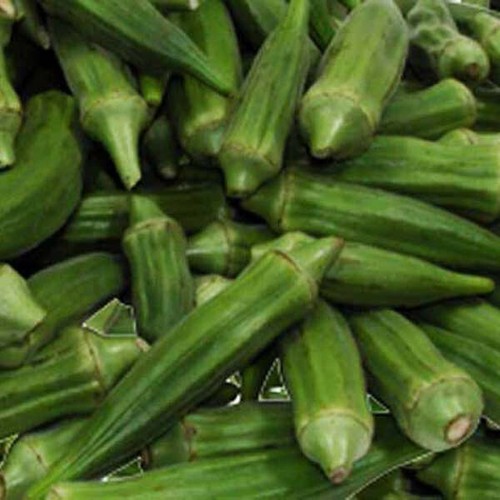 Okra clemson s spineless - okra,