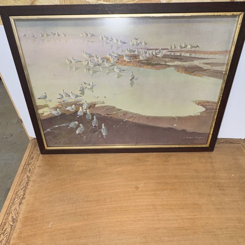 Vernon ward signed framed - vernon,