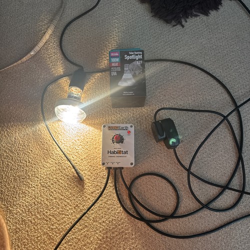 Living earth habistat 600w - earth,