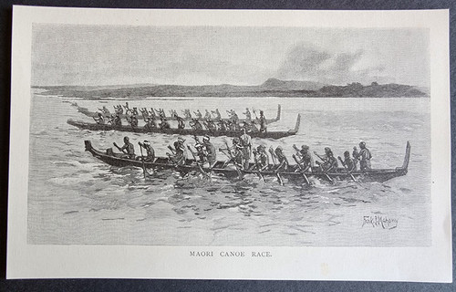 Antique print maori - antique,