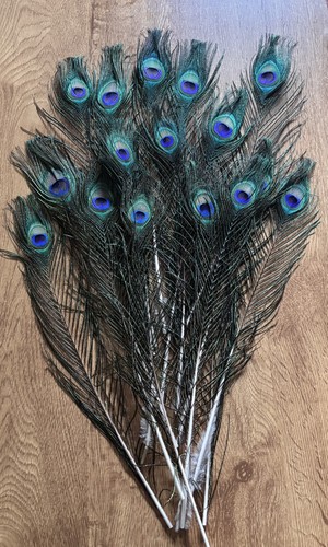 Elegant pcs peacock - pcs,