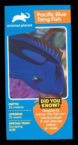 Info card a pacific - 1,