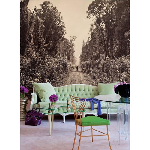 Wall mural sticker forest - wall,