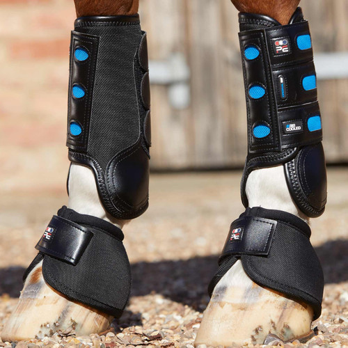 Premier equine air cooled - air,