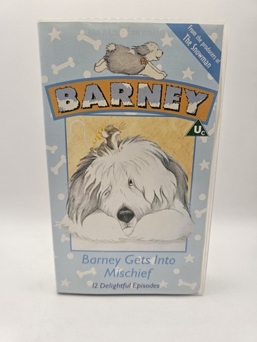 Barney the dog with stars - dog,