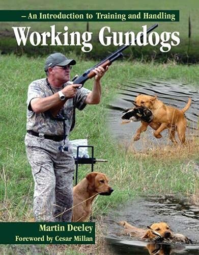 Working gundogs an - gundogs:,