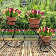 Parisian style plant - parisian,