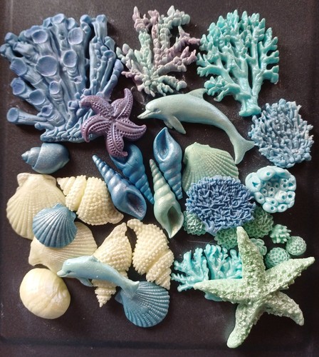 Coral shells starfish sea - shells,