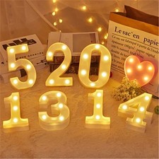 LED NUMBERS LETTER LIGHT UP