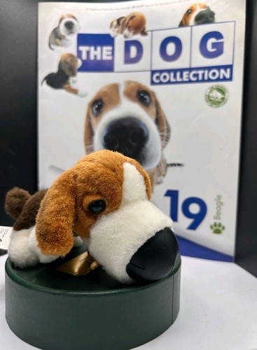 The dog collection beagle - the, (