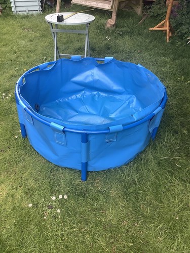 Circular canvas fish pond - fish,