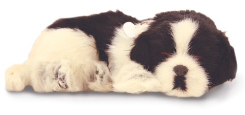 Precious petzzz breathing - -,